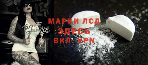 стафф Арсеньев